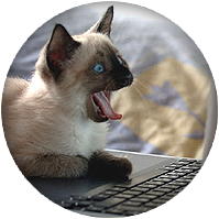 бесплатные компьютерные курсы для начинающих